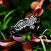 Wings of Fate Norse Raven Ring Stainless Steel